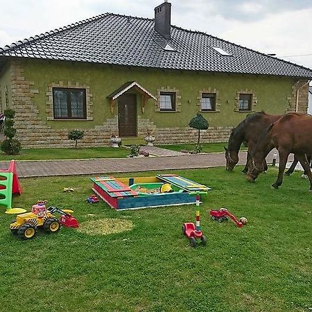 Agroturystyka Klekusiowo Boleslawiec  Luaran gambar