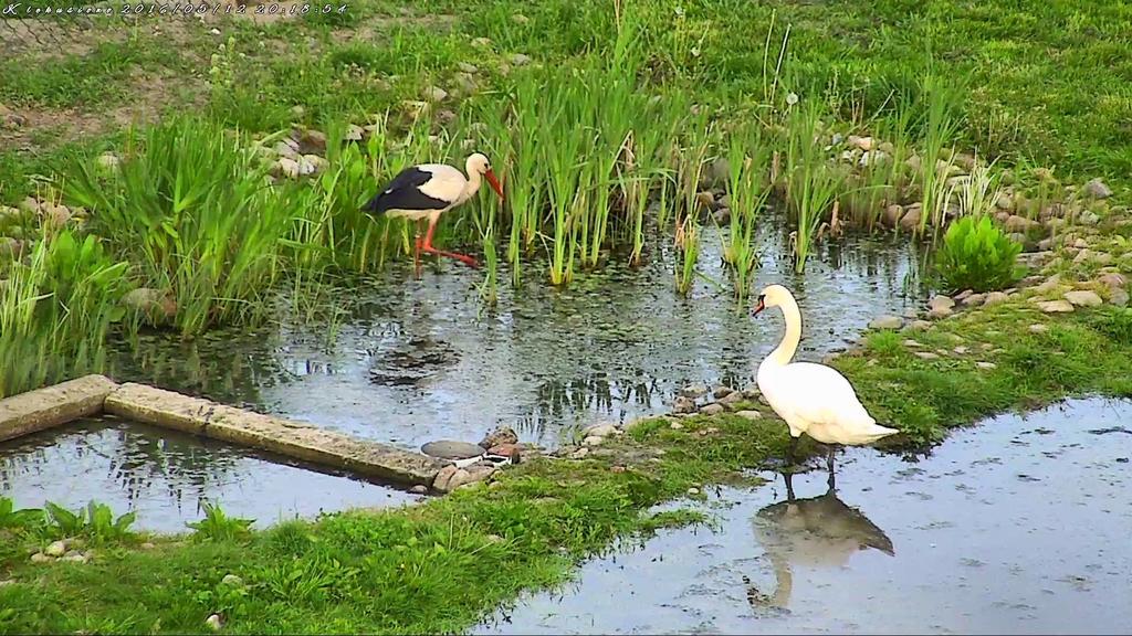 Agroturystyka Klekusiowo Boleslawiec  Luaran gambar