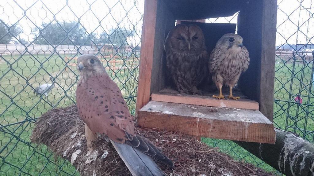 Agroturystyka Klekusiowo Boleslawiec  Luaran gambar