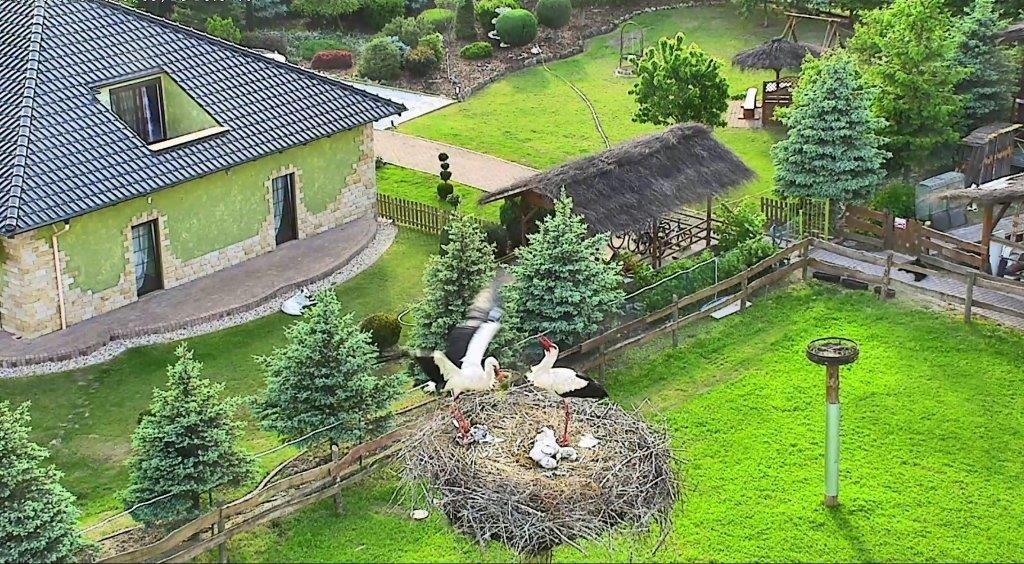 Agroturystyka Klekusiowo Boleslawiec  Luaran gambar