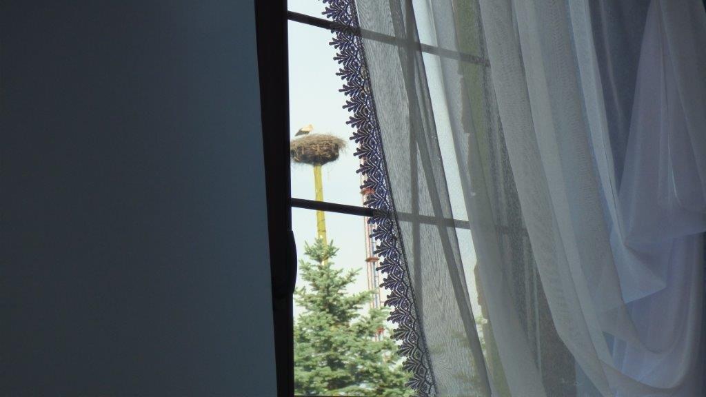 Agroturystyka Klekusiowo Boleslawiec  Luaran gambar