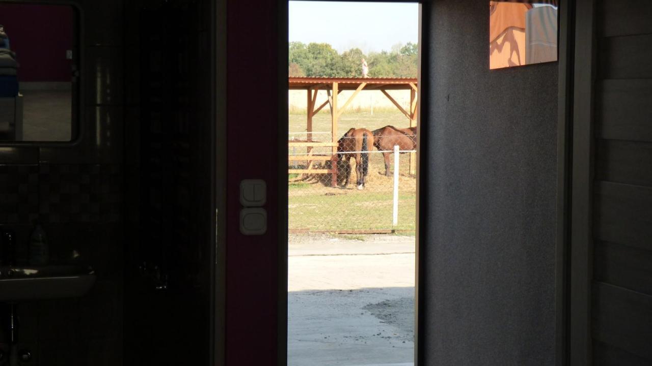 Agroturystyka Klekusiowo Boleslawiec  Luaran gambar